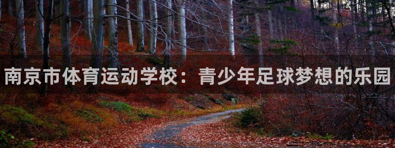 3377体育官网下载平台注册流程视频：南京市体育运动学校：青