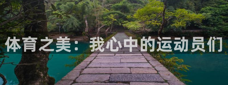 3377体育官方正版app开户：体育之美：我心中的运