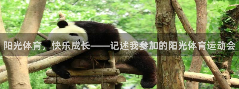 3377体育官网下载平台APP：阳光体育，快乐成长—