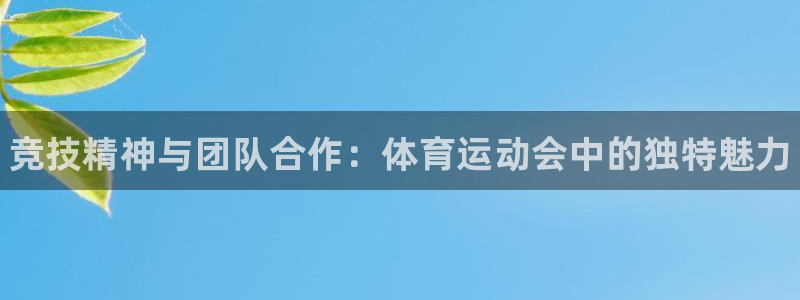 海南3377体育官网下载发展怎么样：竞技精神与团队合