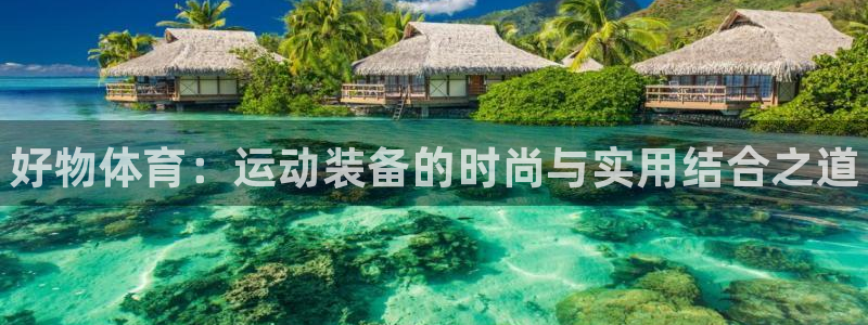 3377体育官网下载平台注册：好物体育：运动装备的时尚与实用