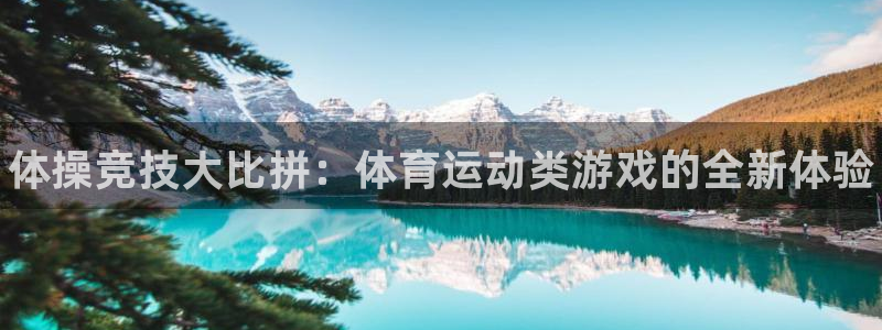 3377体育官网下载平台注册流程视频：体操竞技大比拼