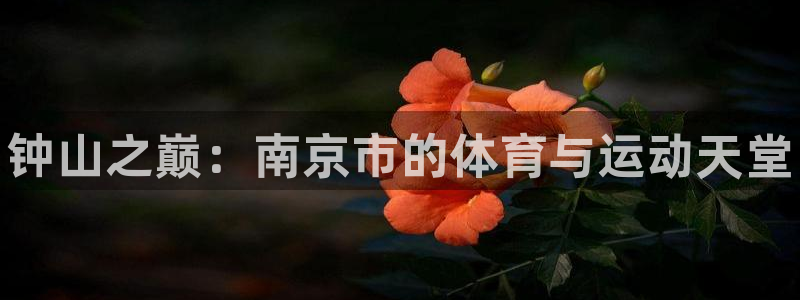 3377体育官网下载平台：钟山之巅：南京市的体育与运