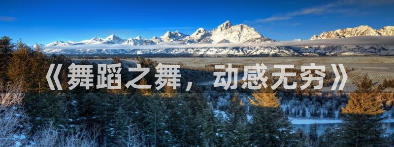 3377体育官网下载官方客服电话：《舞蹈之舞，动感无