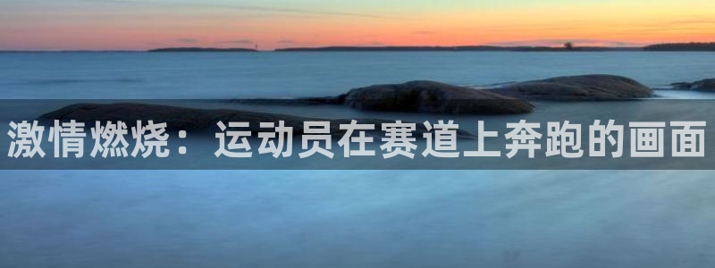3377体育官网下载招商电话号码是多少：激情燃烧：运动员在赛