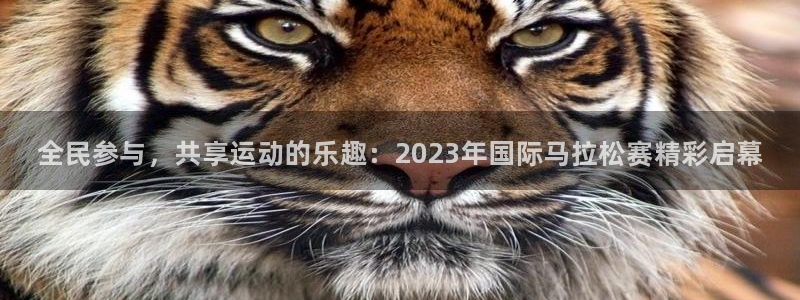 3377体育官方正版app代理：全民参与，共享运动的乐趣：2