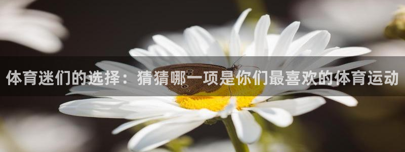 3377体育官网下载平台：体育迷们的选择：猜猜哪一项