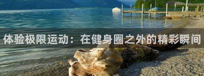 3377体育官网下载平台是正规平台吗安全吗：体验极限
