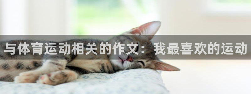3377体育官方正版app娱乐平台：与体育运动相关的作文：我