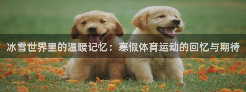 3377体育官方正版app新能源：冰雪世界里的温暖记