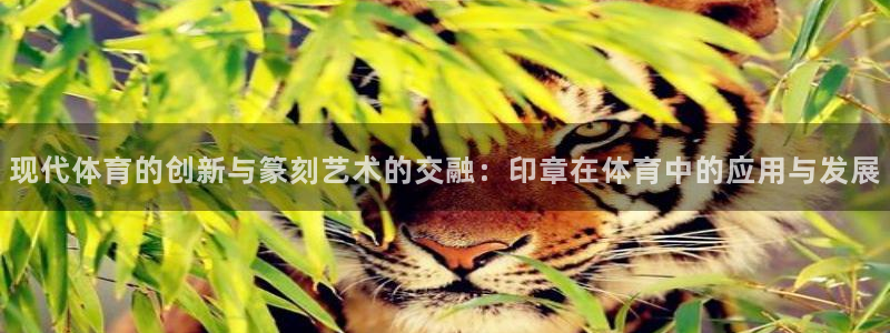 3377体育官网下载平台注册：现代体育的创新与篆刻艺