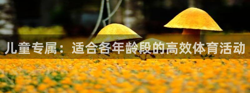 3377体育官方平台体育：儿童专属：适合各年龄段的高