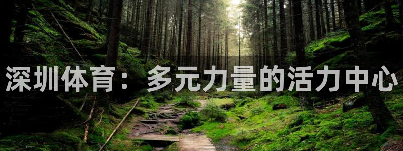 3377体育官方正版app娱乐首页网站大全：深圳体育：多元力