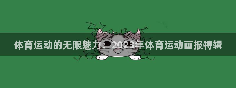 3377体育官方正版app新能源：体育运动的无限魅力：202