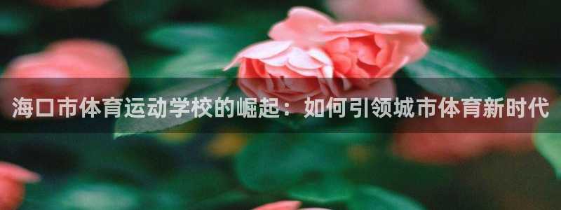 3377体育官方正版app开户：海口市体育运动学校的崛起：如