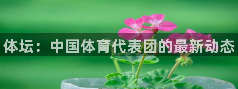 3377体育官方正版app娱乐首页官网下载：体坛：中国体育代
