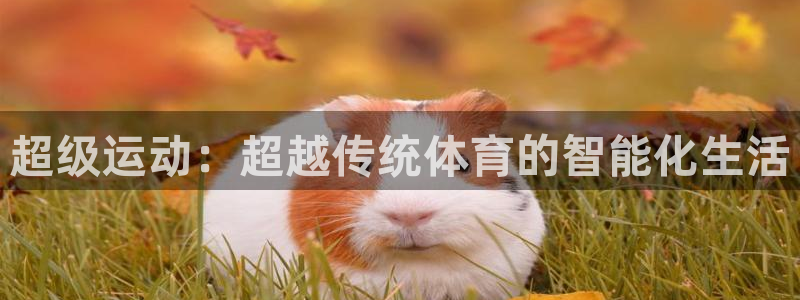 3377体育官网下载招商电话是多少：超级运动：超越传