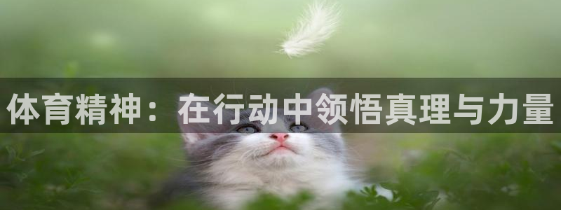 3377体育官方正版app集团E.ON：体育精神：在行动中领