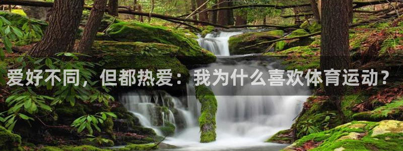 3377体育官网下载招商电话号码是多少啊：爱好不同，但都热爱