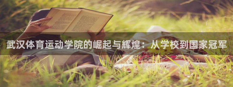 3377体育官方正版app娱乐是那个系列的台子：武汉体育运动