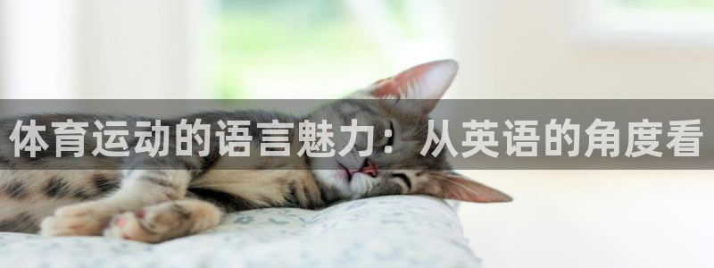 3377体育官方正版app五金厂