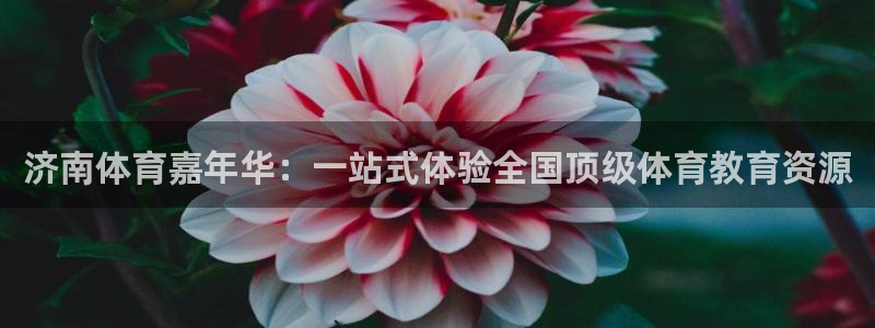 3377体育犯法吗