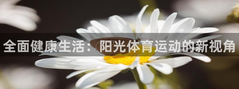 3377体育唯一官方网站