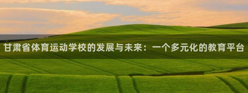  3377体育什么台子：甘肃省体育运动学校的发展与未来：一个多