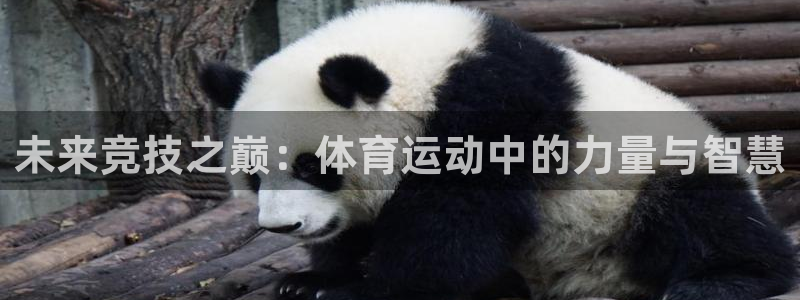 3377体育在线官网