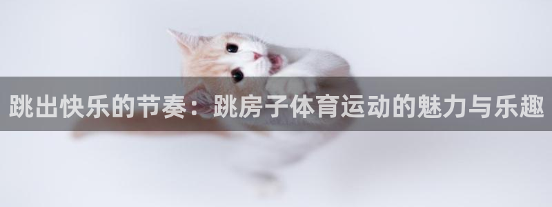 3377体育：跳出快乐的节奏：跳房子体育运动的魅力与乐趣