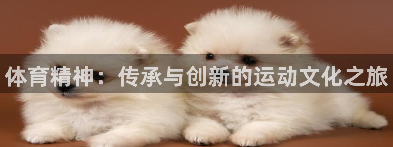  3377体育被国家取消了吗今天：体育精神：传承与创新的运动文