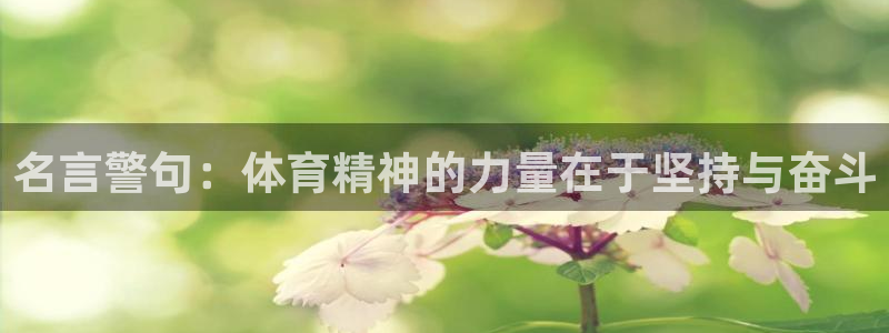 3377体育官网：名言警句：体育精神的力量在于坚持与奋斗