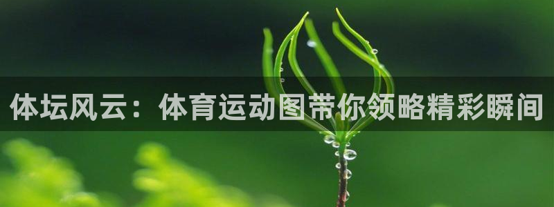3377体育电子：体坛风云：体育运动图带你领略精彩瞬间