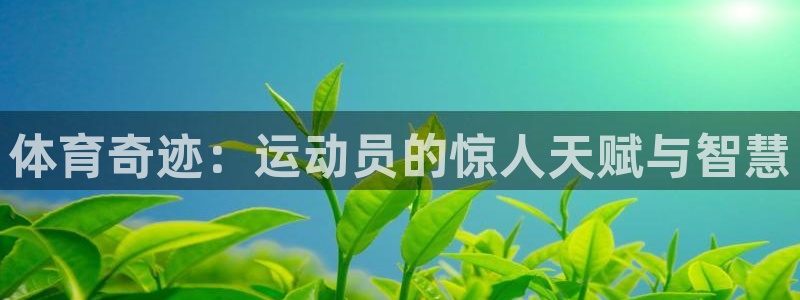 3377体育什么台子：体育奇迹：运动员的惊人天赋与智慧