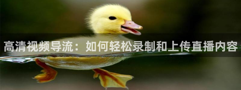 河豚直播nba免费观看：高清视频导流：如何轻松录制和上传直播内容