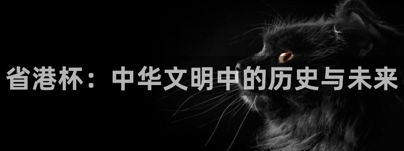 河豚体育直播免费：省港杯：中华文明中的历史与未来