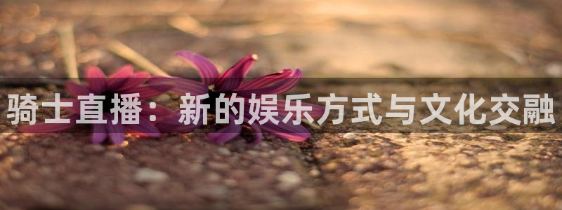 河豚在线nba直播：骑士直播：新的娱乐方式与文化交融