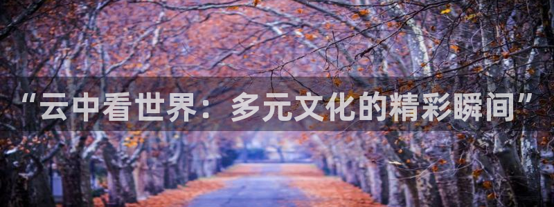 河豚直播nba：“云中看世界：多元文化的精彩瞬间”
