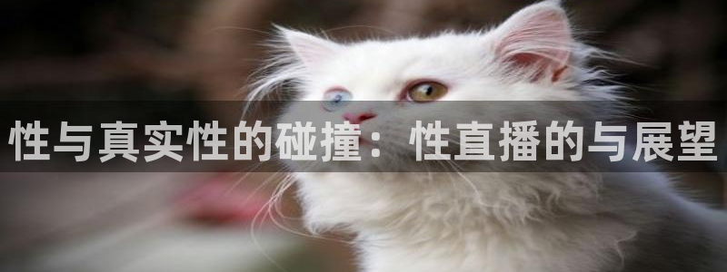 河豚篮球直播：性与真实性的碰撞：性直播的与展望
